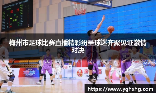 芒果体育官网