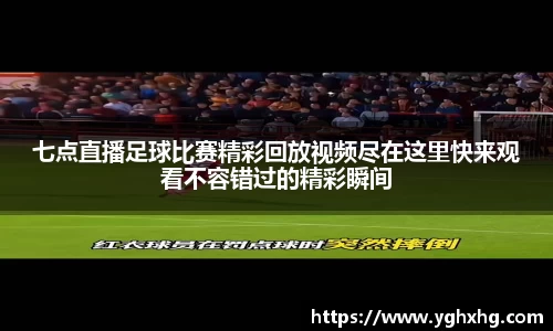 芒果体育APP