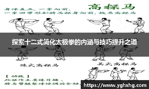 探索十二式简化太极拳的内涵与技巧提升之道