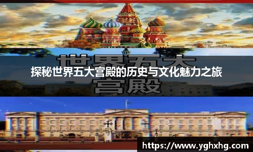 芒果体育APP